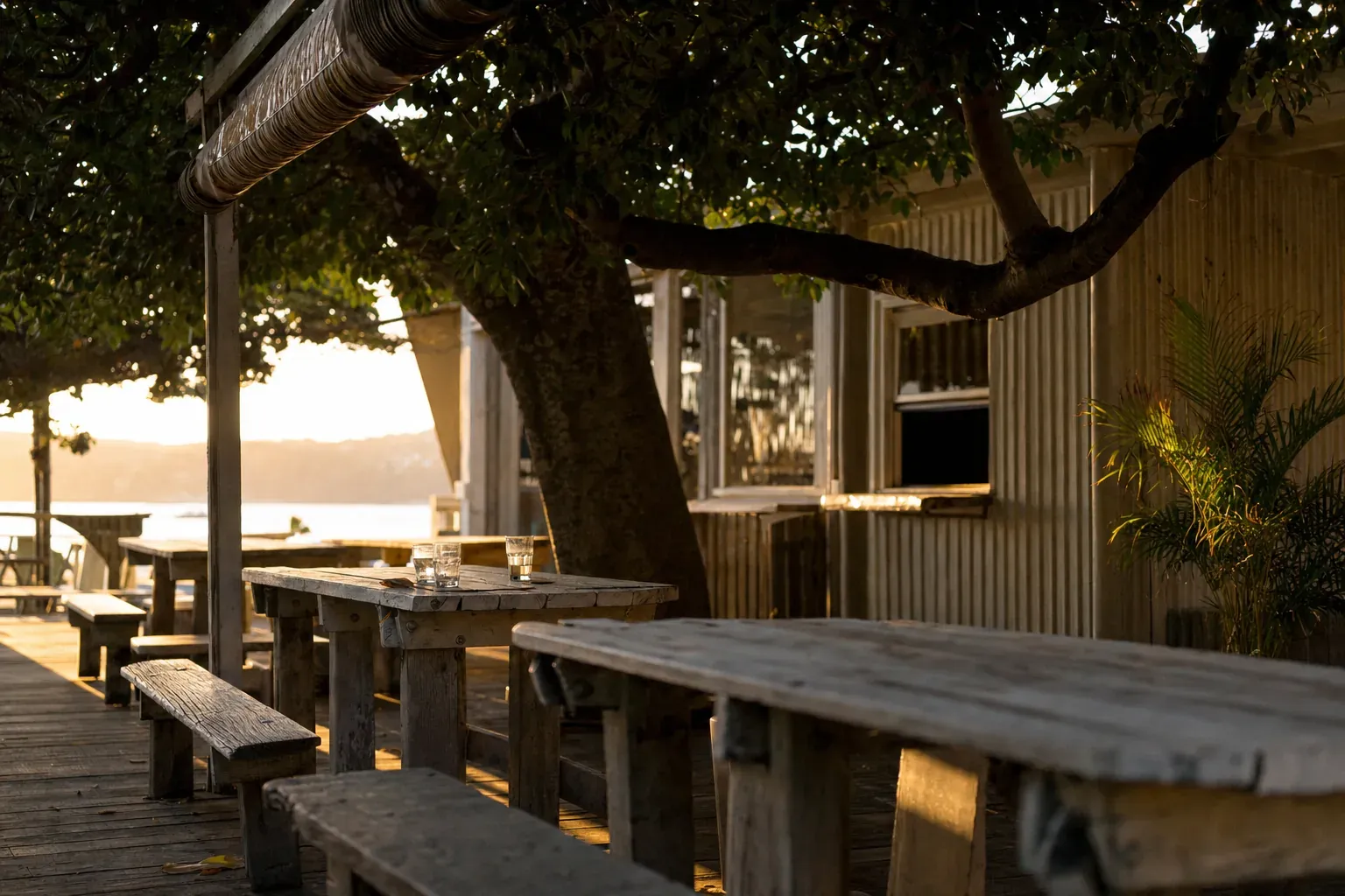 Weathered timber trestle tables and benches on a deck under a fig tree, two empty glasses on one of them, low sun off the water behind and a servery window in a corrugated-iron wall. (AI-generated image)